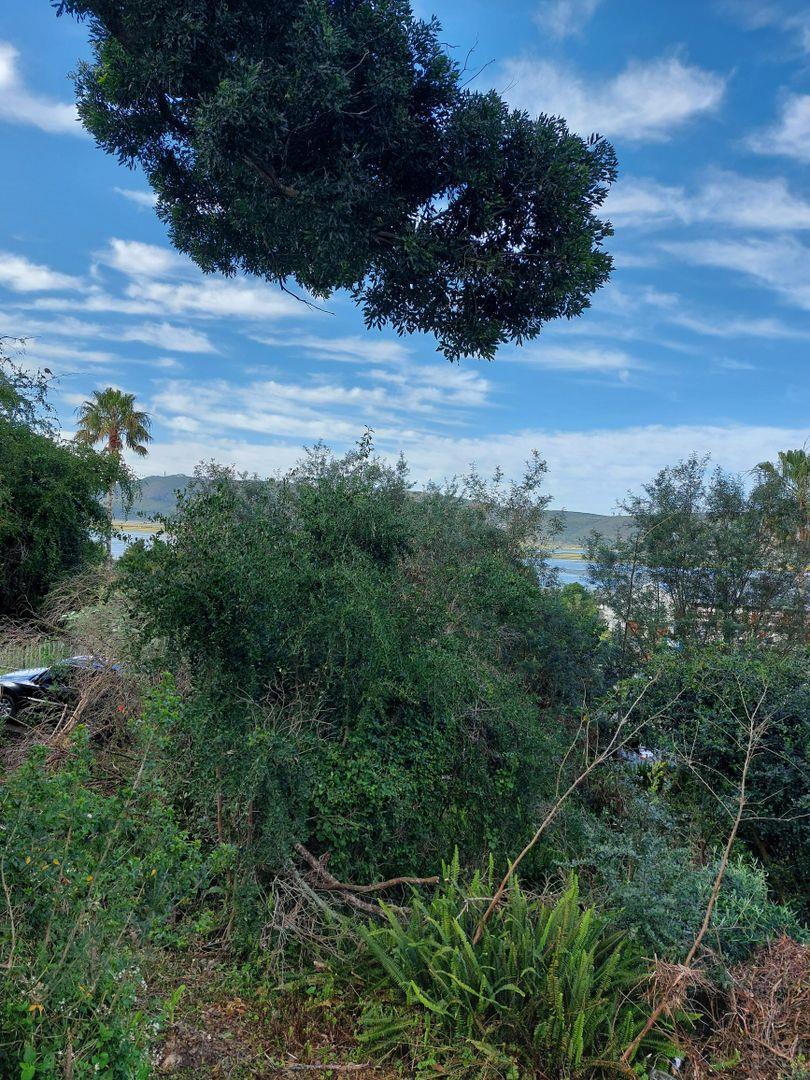 0 Bedroom Property for Sale in Paradise Western Cape